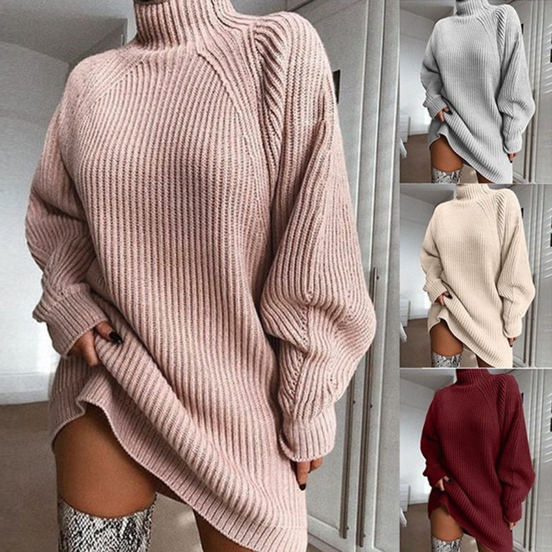 Long Turtle Neck Sweater Dress