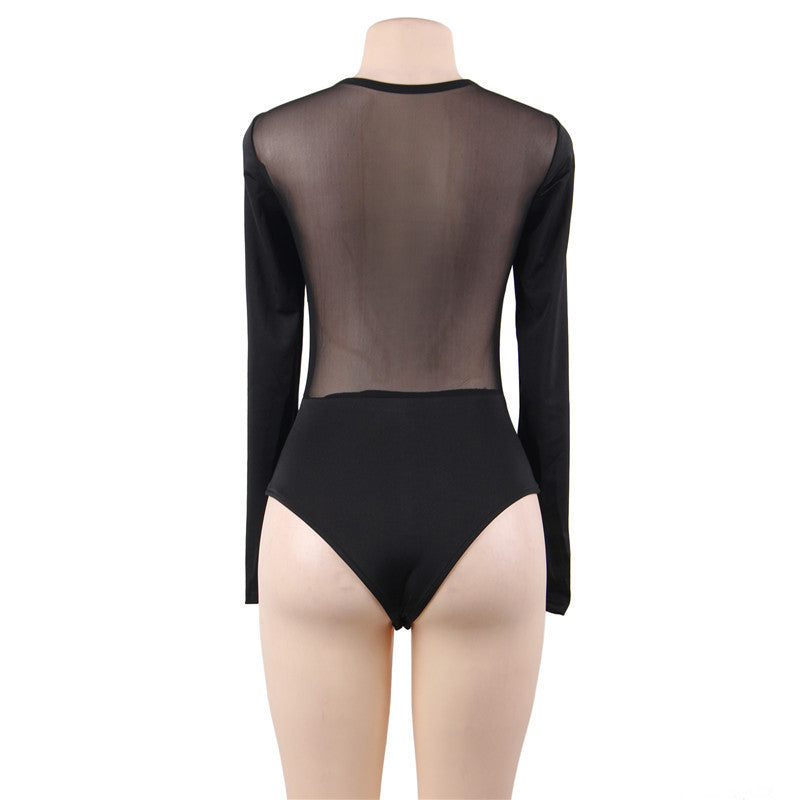 Mesh Perspective Lingerie Bodysuit