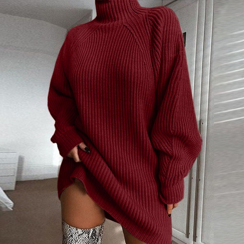Long Turtle Neck Sweater Dress