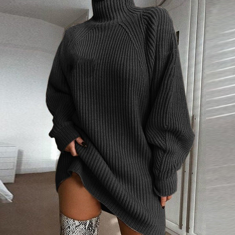 Long Turtle Neck Sweater Dress