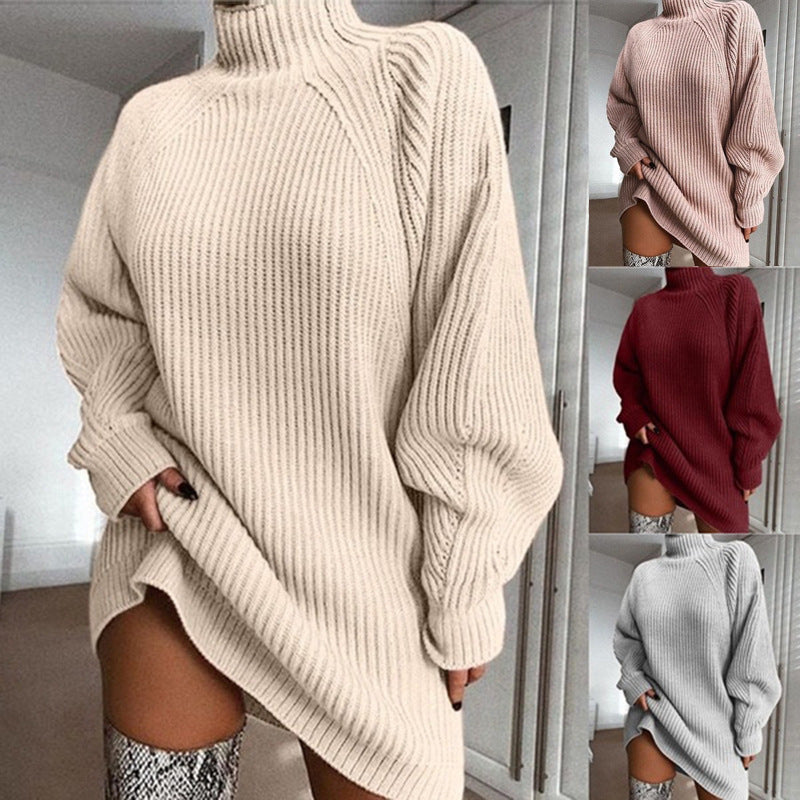 Long Turtle Neck Sweater Dress