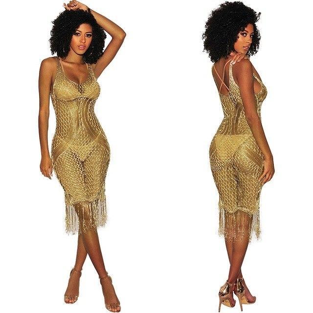Shiny Mesh Bikini Cover Up