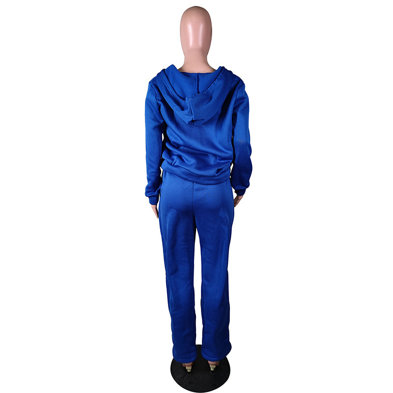 Solid Color Two Piece Sweatsuit w/Hood