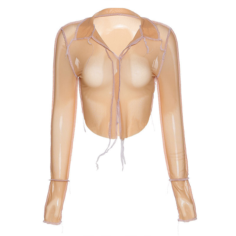 Sheer Long Sleeve Deep-V Slim Top