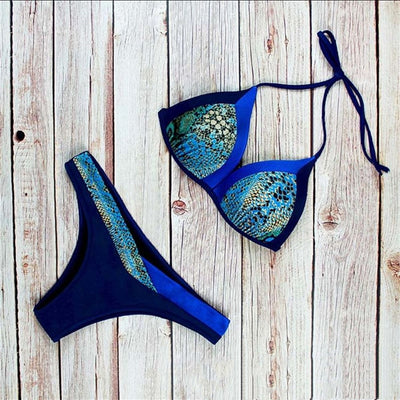 Nylon Split Bikini Set