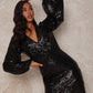 Slim Fit Sequined Party Dress