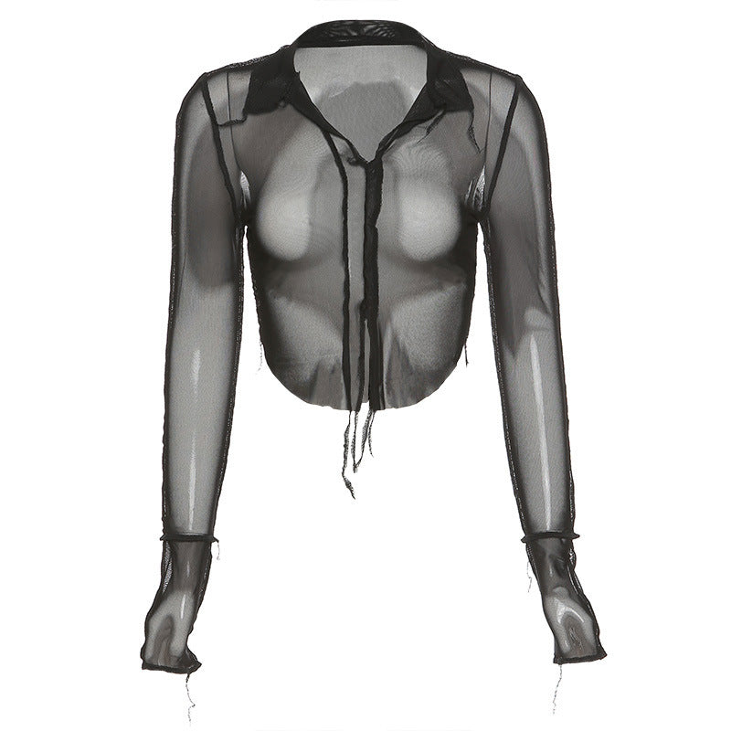 Sheer Long Sleeve Deep-V Slim Top