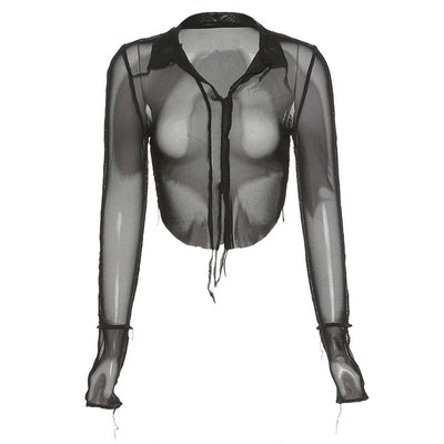 Sheer Long Sleeve Deep-V Slim Top