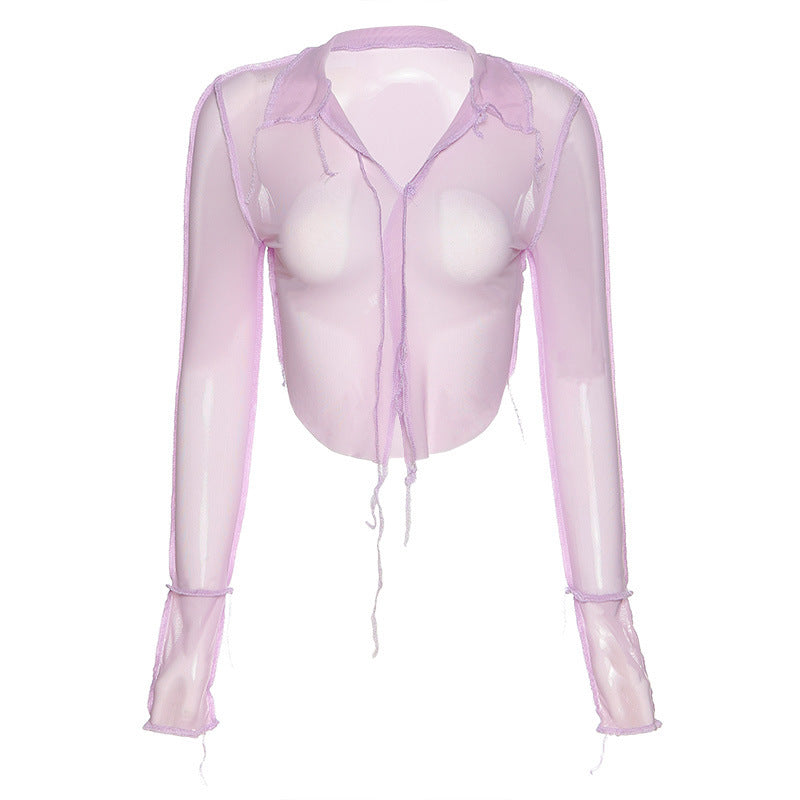 Sheer Long Sleeve Deep-V Slim Top