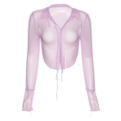Sheer Long Sleeve Deep-V Slim Top