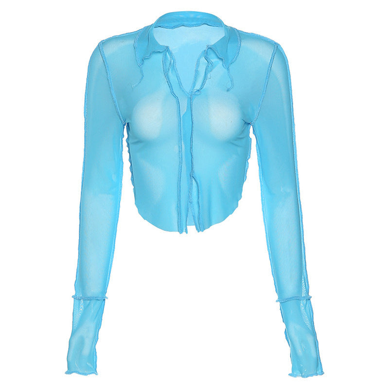 Sheer Long Sleeve Deep-V Slim Top